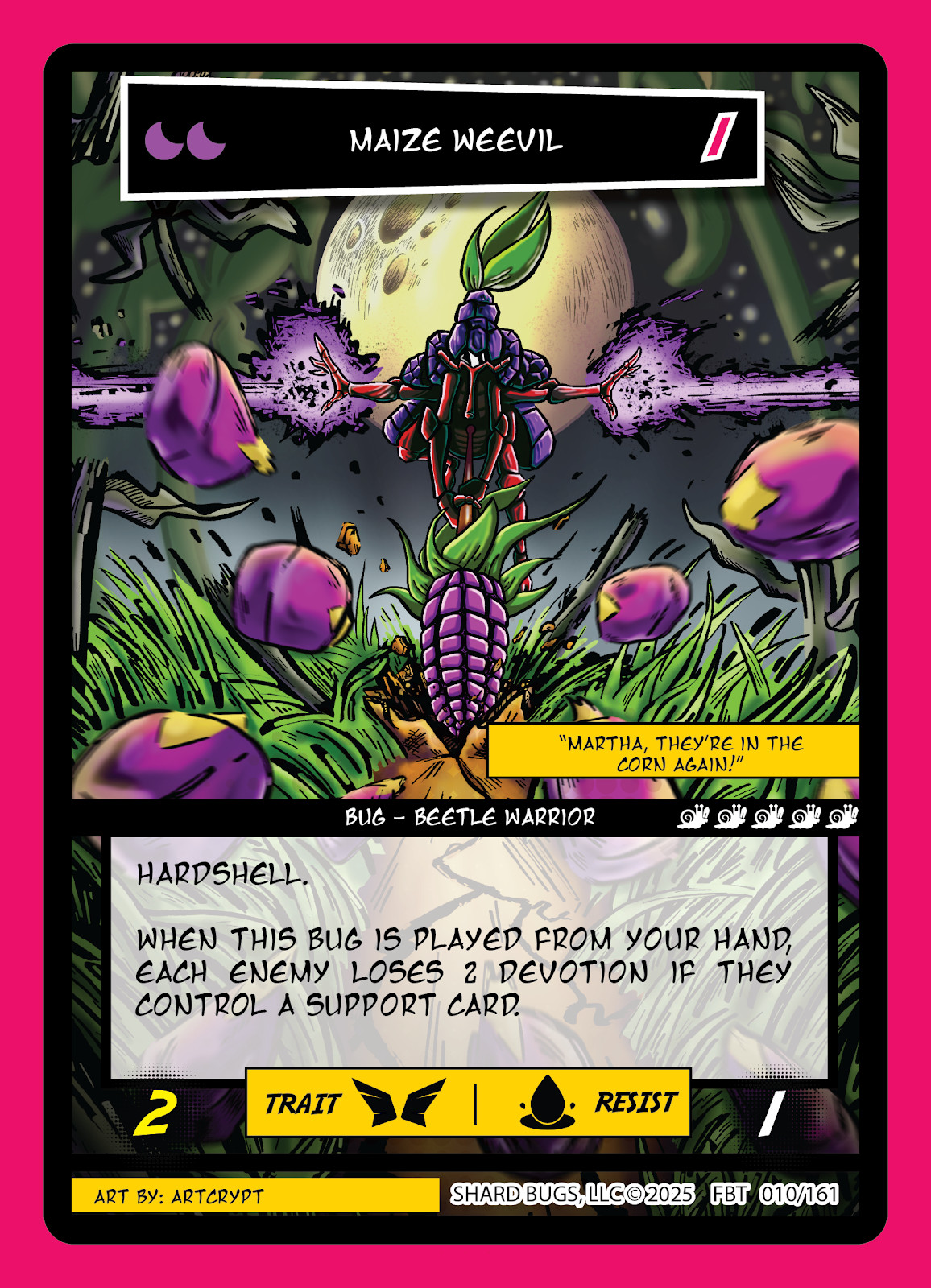 Maize Weevil