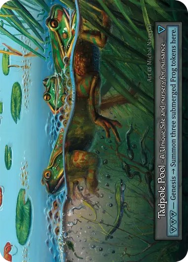 Tadpole Pool