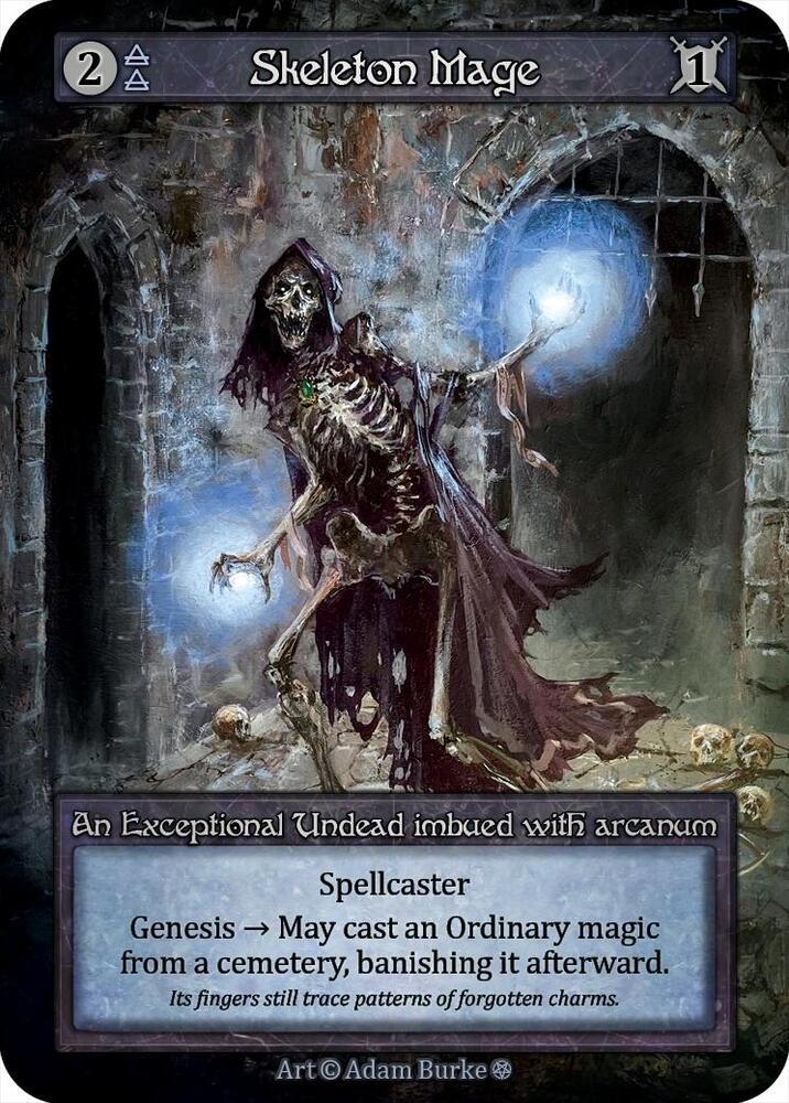 Skeleton